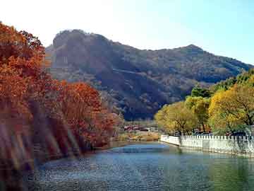 管家婆免费正版资起大全，兽神雨魔